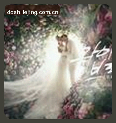 小杨