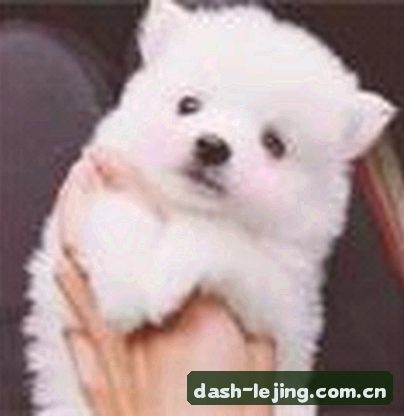 阿杰